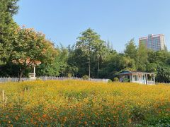 -晓港公园