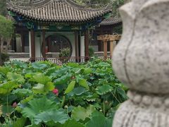 -莲湖公园