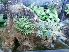 -街角等你.大连海鲜烧烤.经典铁板海鲜串(西安路店)