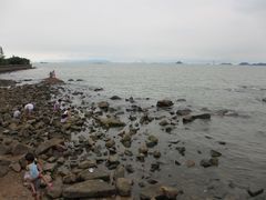 -野狸岛