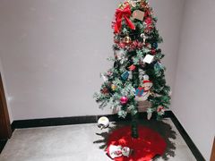 -梵猫·新养生(南坪万达店)