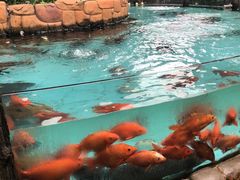 -忆江南·临江鱼馆