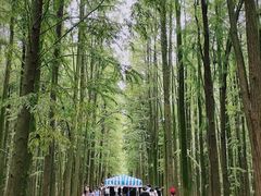 -青山湖景区