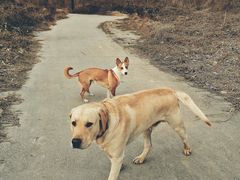 -汉长安城未央宫国家考古遗址公园