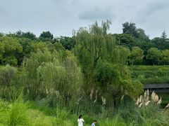 -白鹭湾湿地公园