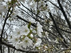 -苏州上方山国家森林公园