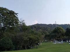 -桃花岭景区