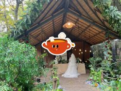 -帆拉斐婚纱摄影(春熙店)