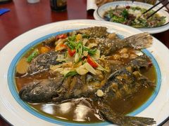 -呼吸森林·生态农庄农家乐私房菜