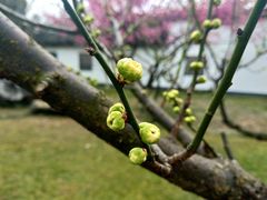 -荆川公园