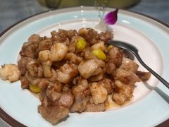 -丁老爷子苏香圆