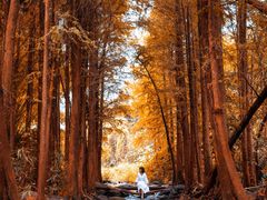 -马峦山郊野公园