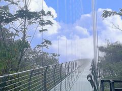 -南丹山森林王国