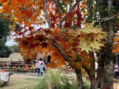 -HERRE·FARM 赫尔露营农场·团建聚会包场