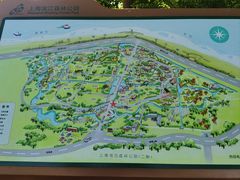 -上海滨江森林公园