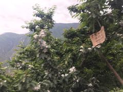 -萝卜寨羌文化生态旅游区