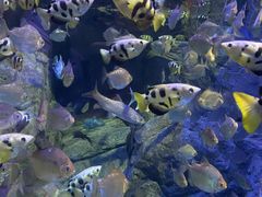 -成都浩海立方海洋公园