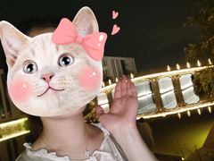 -湘湖金融镇
