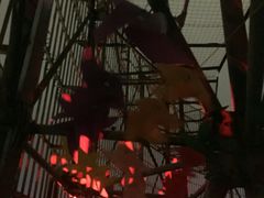 -339旋转餐厅(天府熊猫塔店)