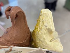 -野人先生现做冰淇淋(北京环宇荟店)