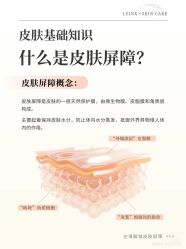 -玛莲朵·海菲秀冰珀科