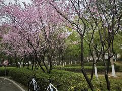 -月湖风景区