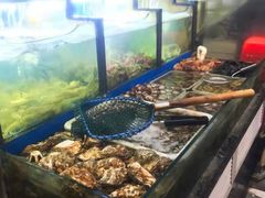 水产区-老东镇啤酒屋海鲜加工·蒸汽海鲜·海鲜烧烤(台东店)