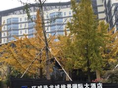 -常州环球恐龙城维景国际大酒店