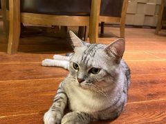 -H立方实景剧情密室(天河旗舰店)