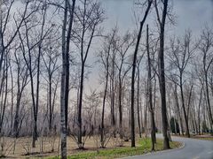 -秦皇岛野生动物园