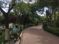 -雁滩公园