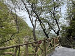 -洛阳白云山景区