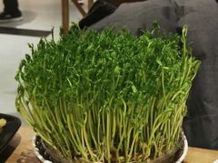 -好彩猪肚鸡(正弘城店)