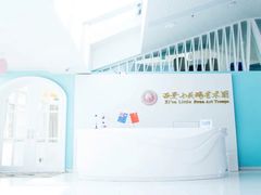 -西安小天鹅艺术团(曲江Alice店)