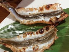 -三月居酒屋(青年大街店)