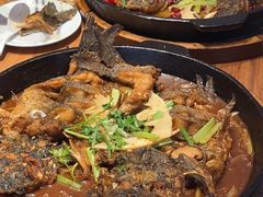 -老板恋上鱼(恒隆广场店)