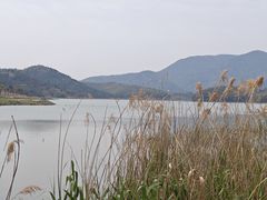 -鸣鹤古镇