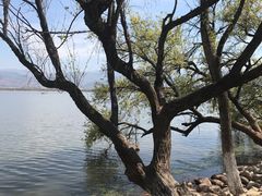 -西昌邛海湿地