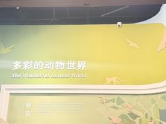 -国家自然博物馆