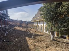 -报恩禅寺