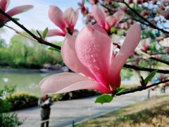 -玲珑塔公园