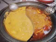 -生活如沸·顺德水牛奶火锅(大学路店)