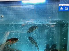 -小隐院子·庭院餐厅(大学城后湖店)