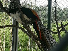 -兰陵国家农业公园