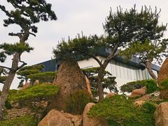 -罗红摄影艺术馆