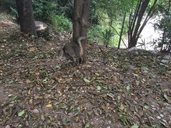 -雨花台烈士纪念馆