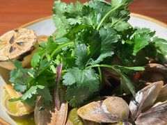 大黄蚬子-MAGPIE喜鹊派餐厅(华侨城店)