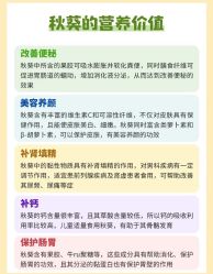 -Fundi张玉珊修身堂·indiba·BTL科技瘦身