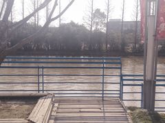 -高东镇樱花园