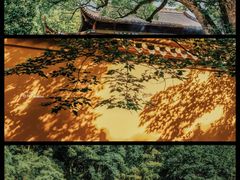 -阿育王寺